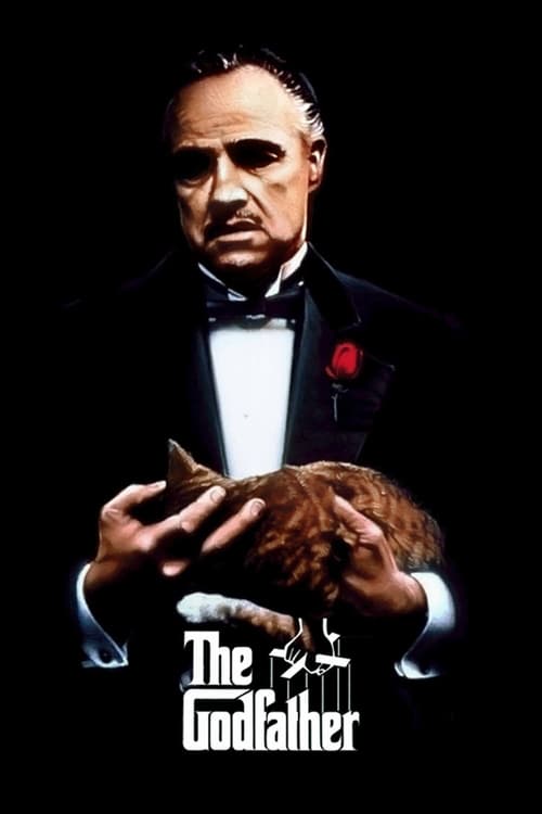 imagen de presentación de Película