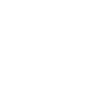 Ícono